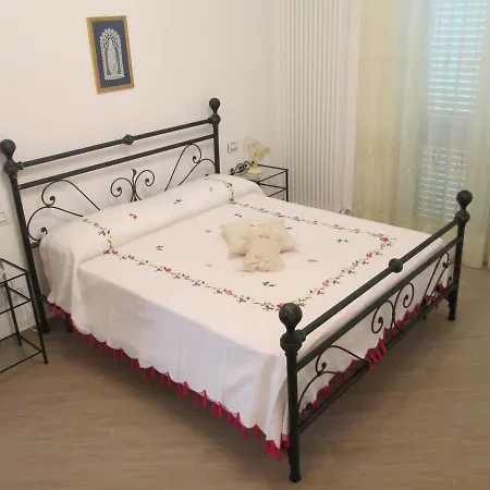 B&B Spineola *